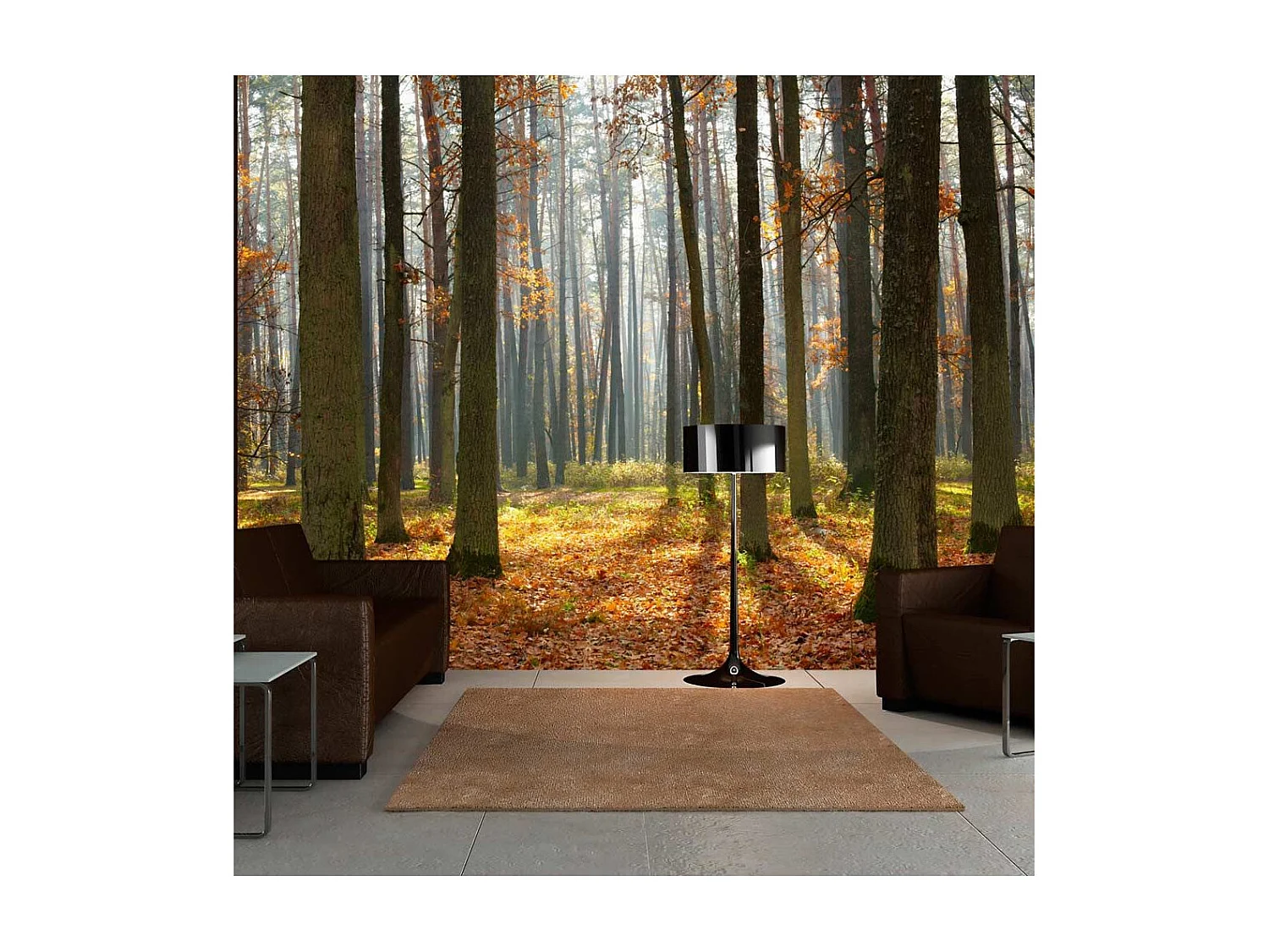 Papier Peint "Autumn Trees" 231 x 300 cm