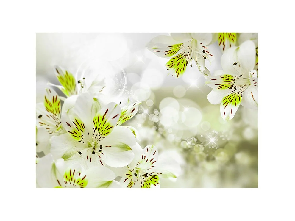 Papier Peint "Southern Princess" 210 x 300 cm