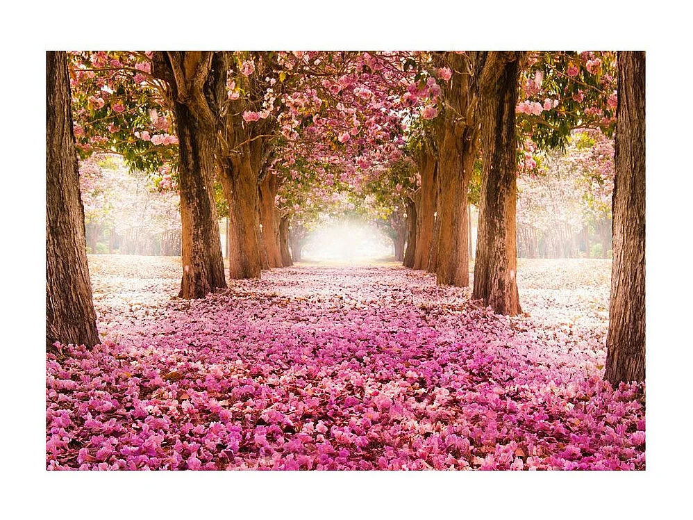 Papier Peint "Pink Grove" 245 x 350 cm