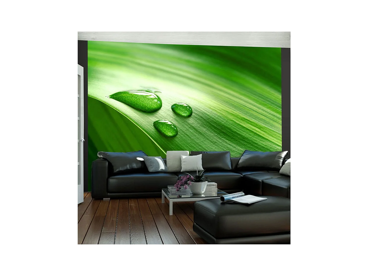 Papier Peint "Feuille & Trois Gouttes d'Eau" 154 x 200 cm