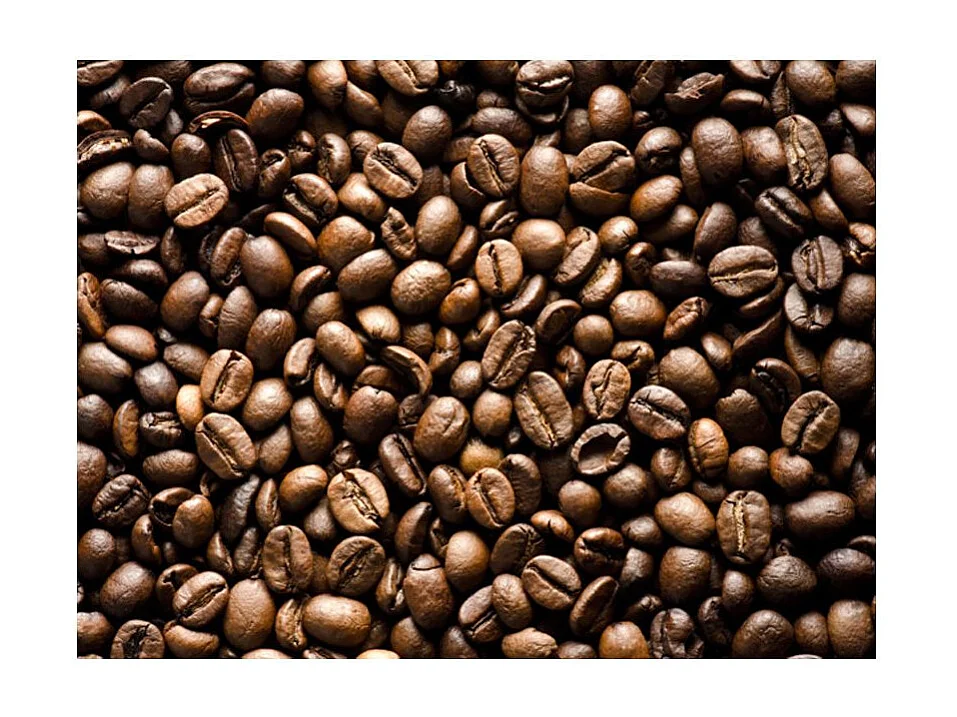 Papier Peint "Roasted Coffee Beans" 154 x 200 cm