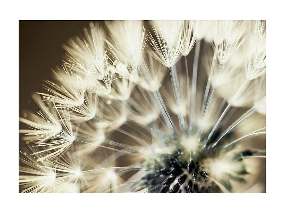 Papier Peint "Beautiful Summer Morning" 140 x 200 cm