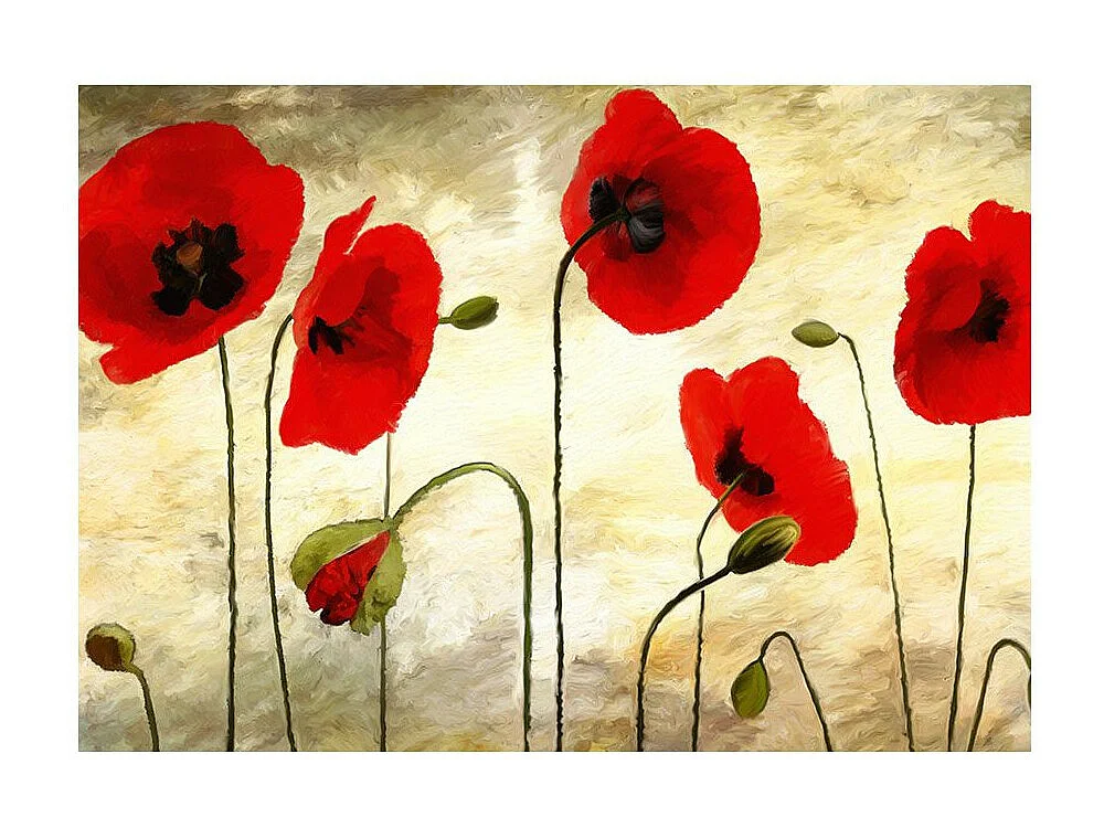Papier Peint "Coquelicots Peints à l'acrylique" 270 x 350 cm
