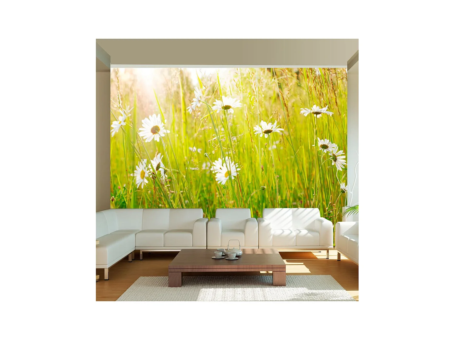 Papier Peint "Champ de Marguerites" 270 x 350 cm