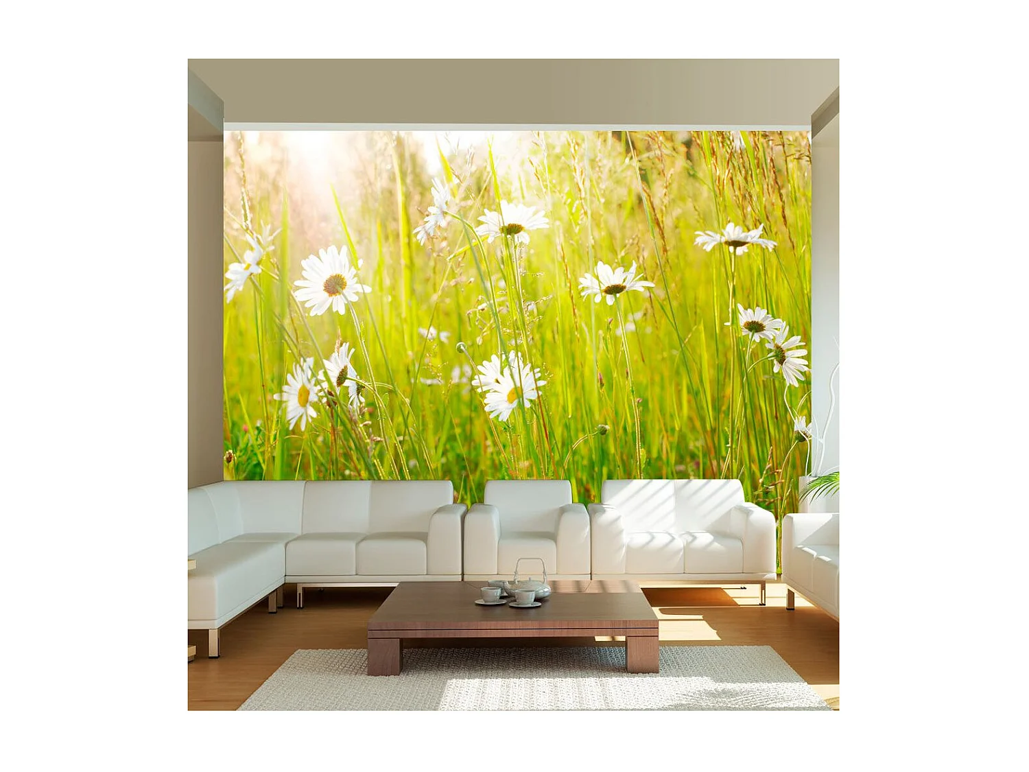 Papier Peint "Champ de Marguerites" 270 x 350 cm