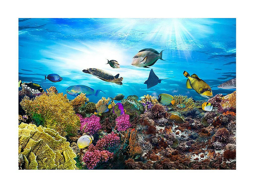Papier Peint "Coral Reef" 140 x 200 cm