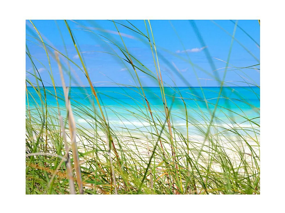 Papier Peint "Tropical Journey" 154 x 200 cm