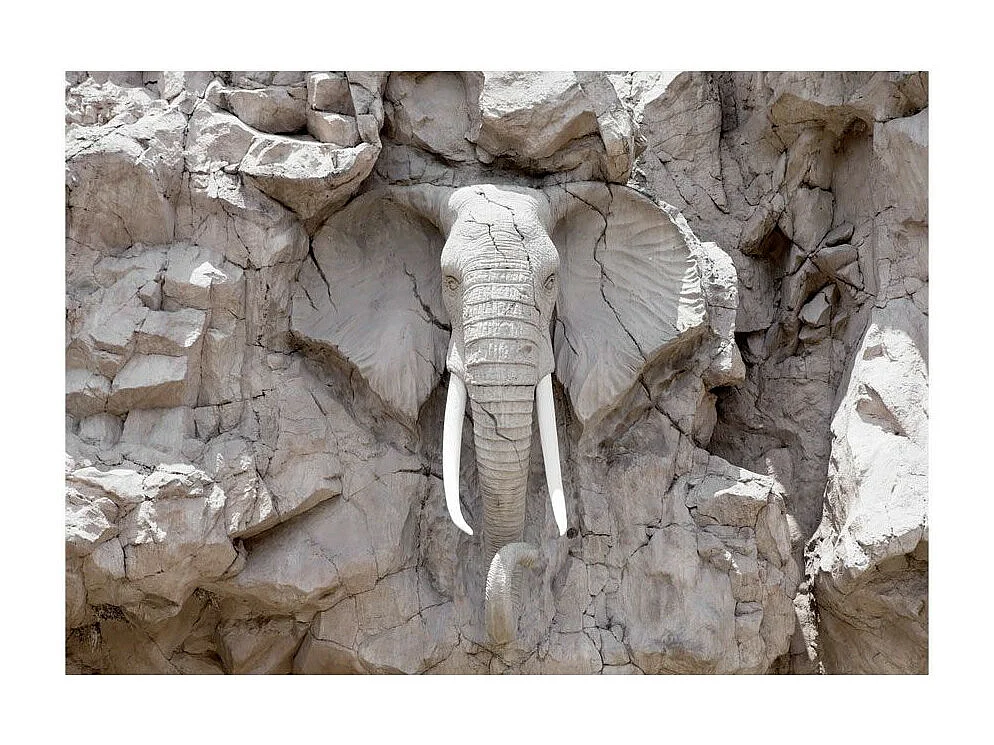 Papier Peint "The Bridge of Time South Africa" 140 x 200 cm