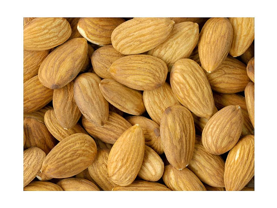 Papier Peint "Tasty Almonds" 193 x 250 cm