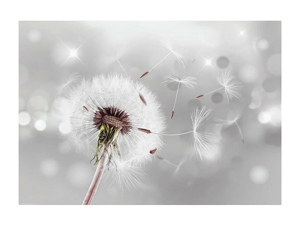 Papier Peint "Grasping the Invisible" 140 x 200 cm