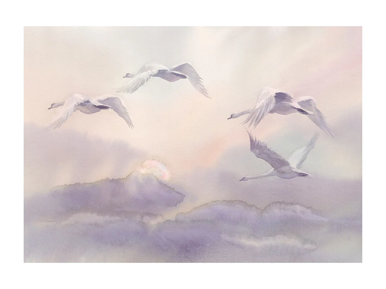 Papier Peint "Flying Swans" 105 x 150 cm