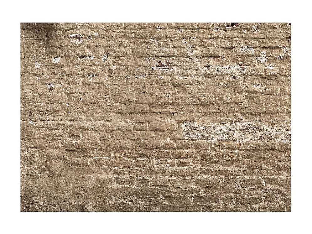 Papier Peint "Urban Oasis" 210 x 300 cm