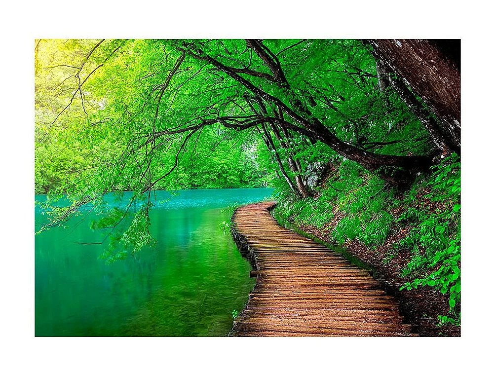 Papier Peint "Green Peace" 70 x 100 cm