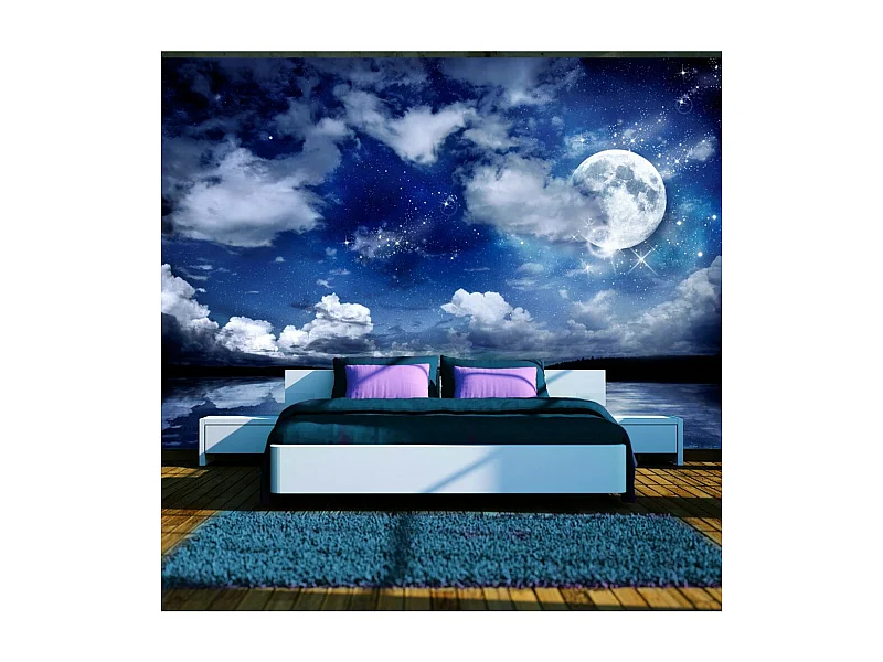 Papier Peint "Nuit Magique" 175 x 250 cm