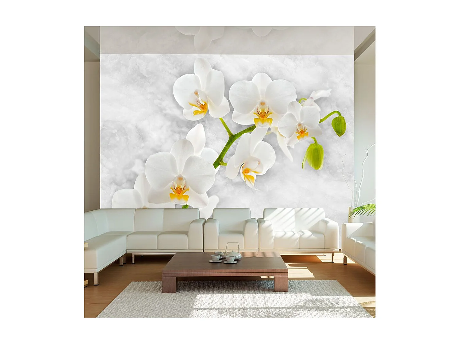 Papier Peint "Lyrical Orchid White" 210 x 300 cm