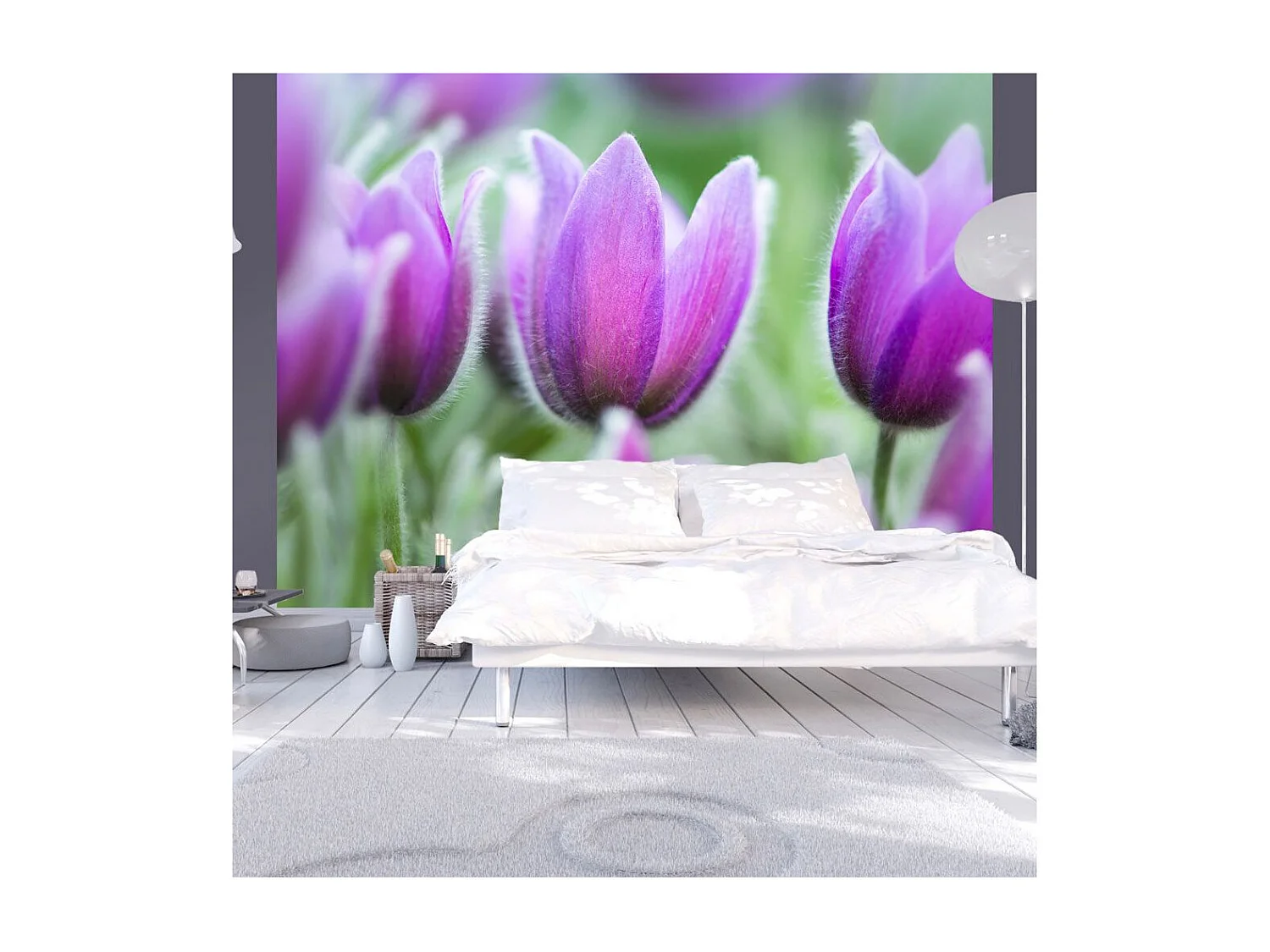 Papier Peint "Tulipes Violettes au Printemps" 270 x 350 cm