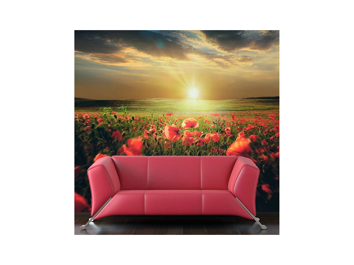 Papier Peint "Morning on the Poppy Meadow" 309 x 400 cm