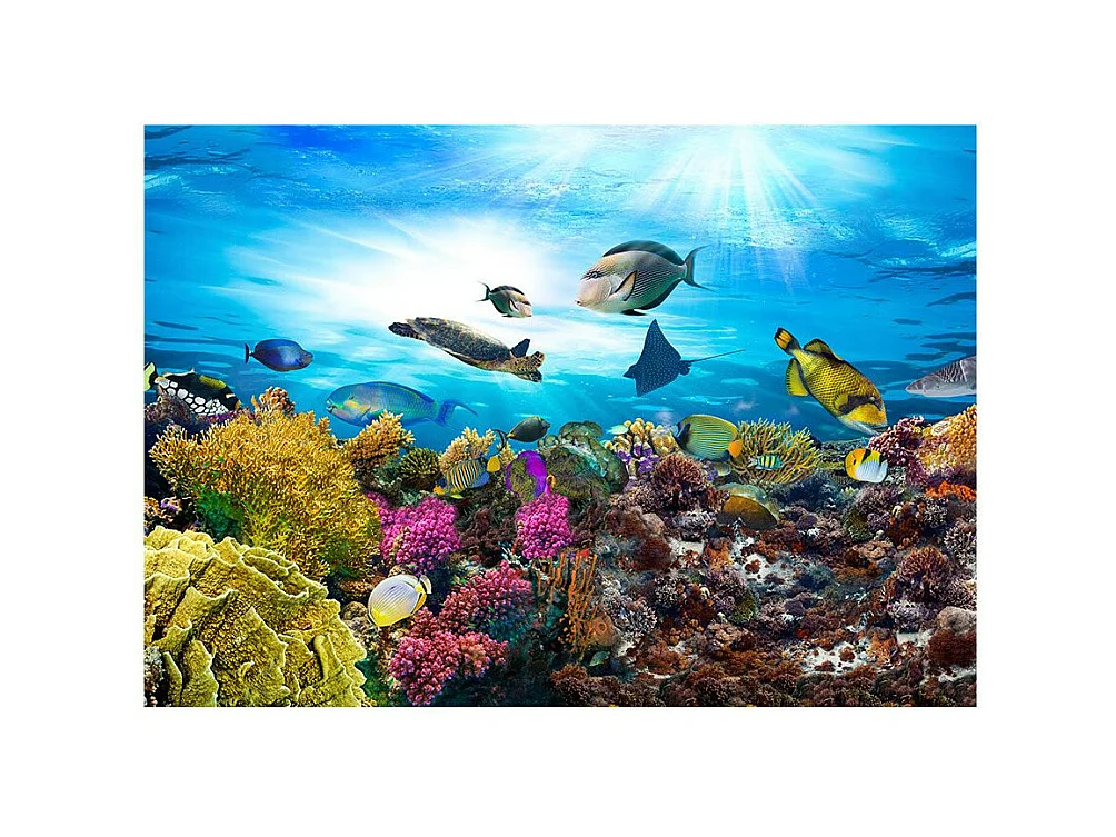 Papier Peint "Coral Reef" 105 x 150 cm