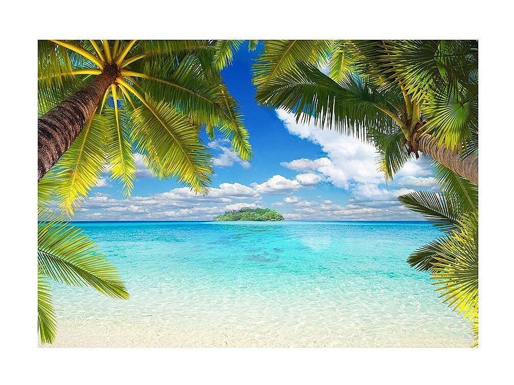 Papier Peint "Carefree Afternoon" 245 x 350 cm