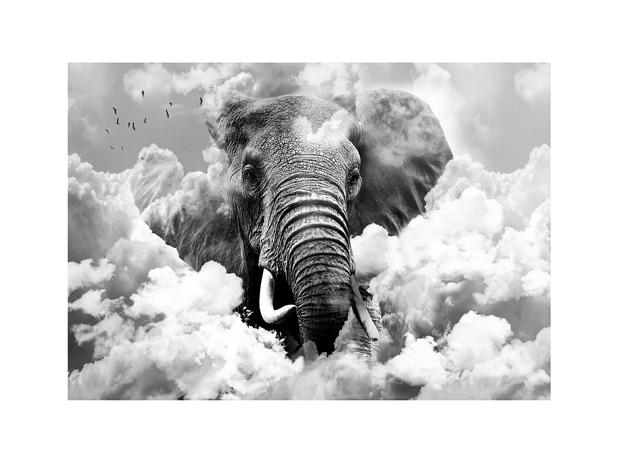 Papier Peint "Elephant in the Clouds Black & White" 280 x 400 cm