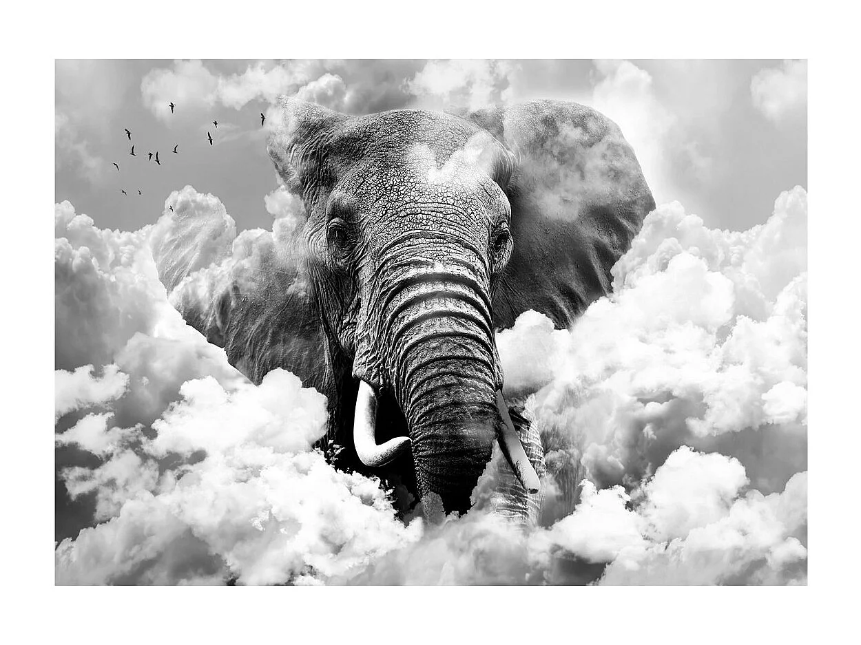 Papier Peint "Elephant in the Clouds Black & White" 280 x 400 cm