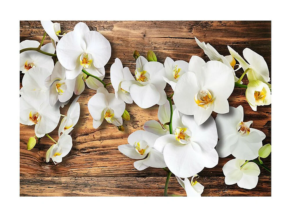 Papier Peint "Forest Orchid" 175 x 250 cm