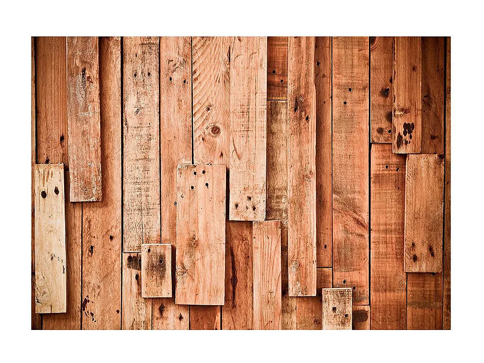 Papier Peint "Wooden Fantasy" 210 x 300 cm