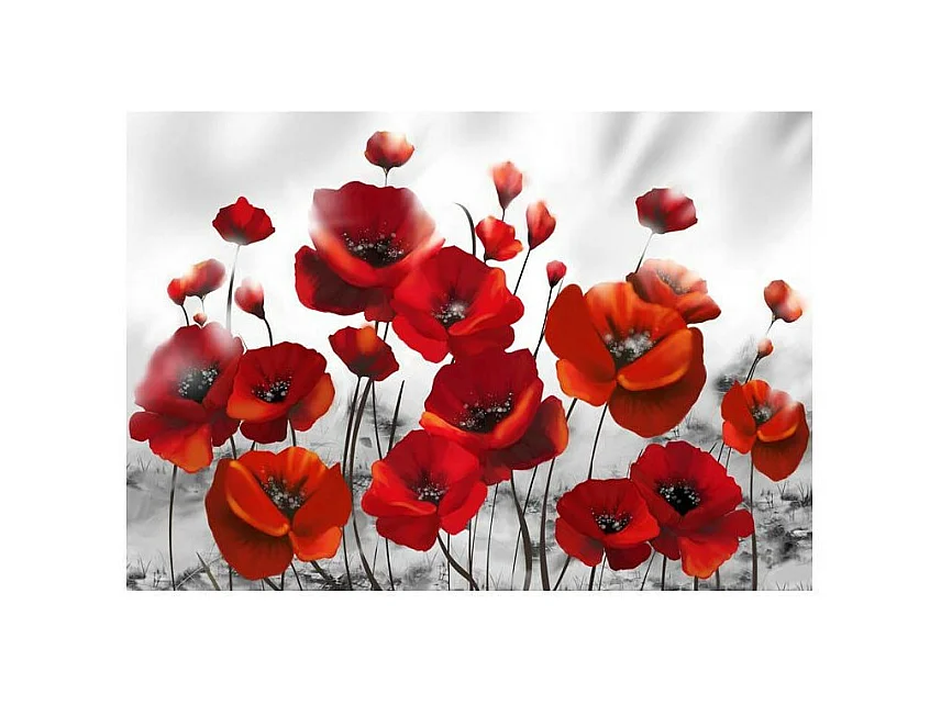 Papier Peint "Coquelicots dans au Clair de Lune" 280 x 400 cm