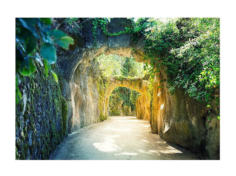 Papier Peint "Via Naturae" 210 x 300 cm