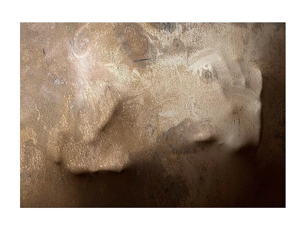 Papier Peint "The Warmth of Your Hand" 245 x 350 cm