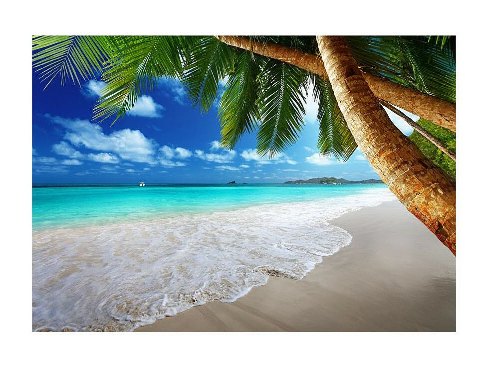 Papier Peint "Île Tropicale" 245 x 350 cm