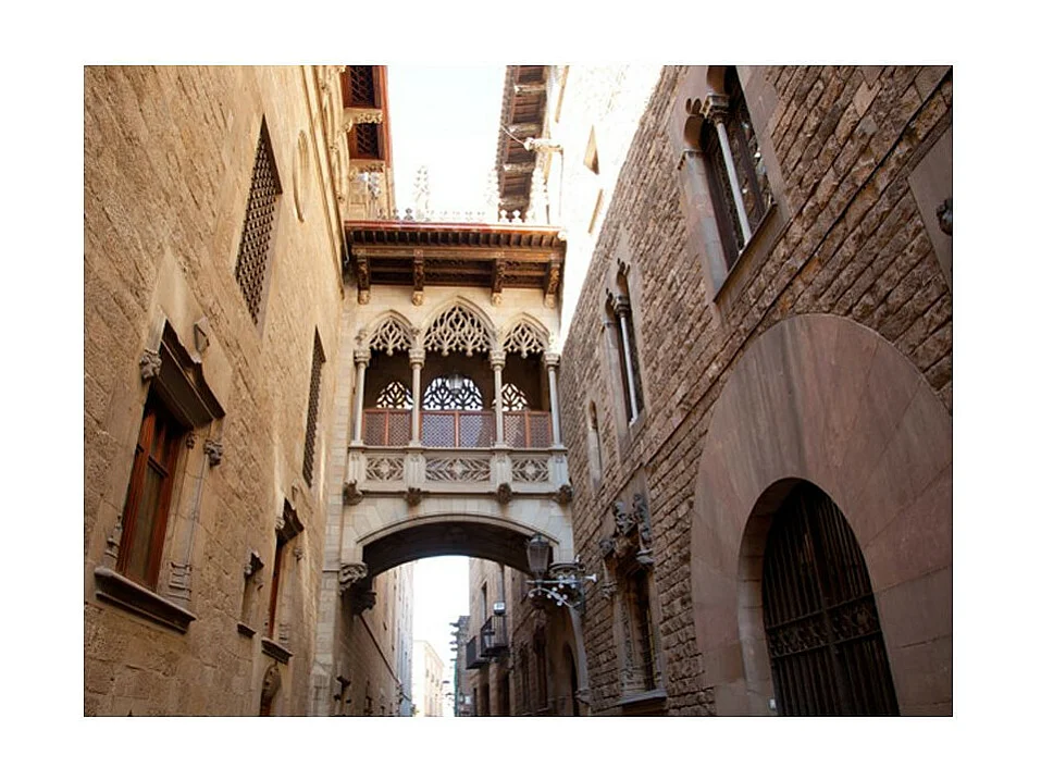 Papier Peint "Barcelona Palau Generalitat in Gothic Barrio" 231 x 300 cm