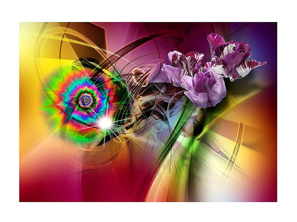 Papier Peint "Magic Light of Colors" 70 x 100 cm