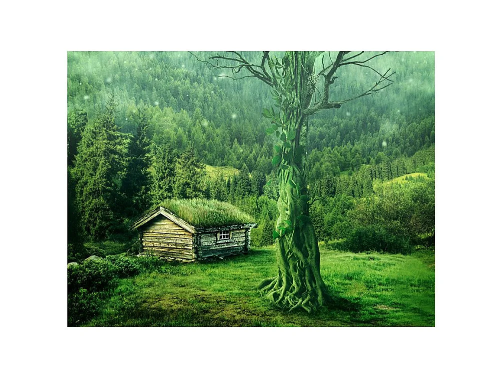 Papier Peint "Green Seclusion" 154 x 200 cm