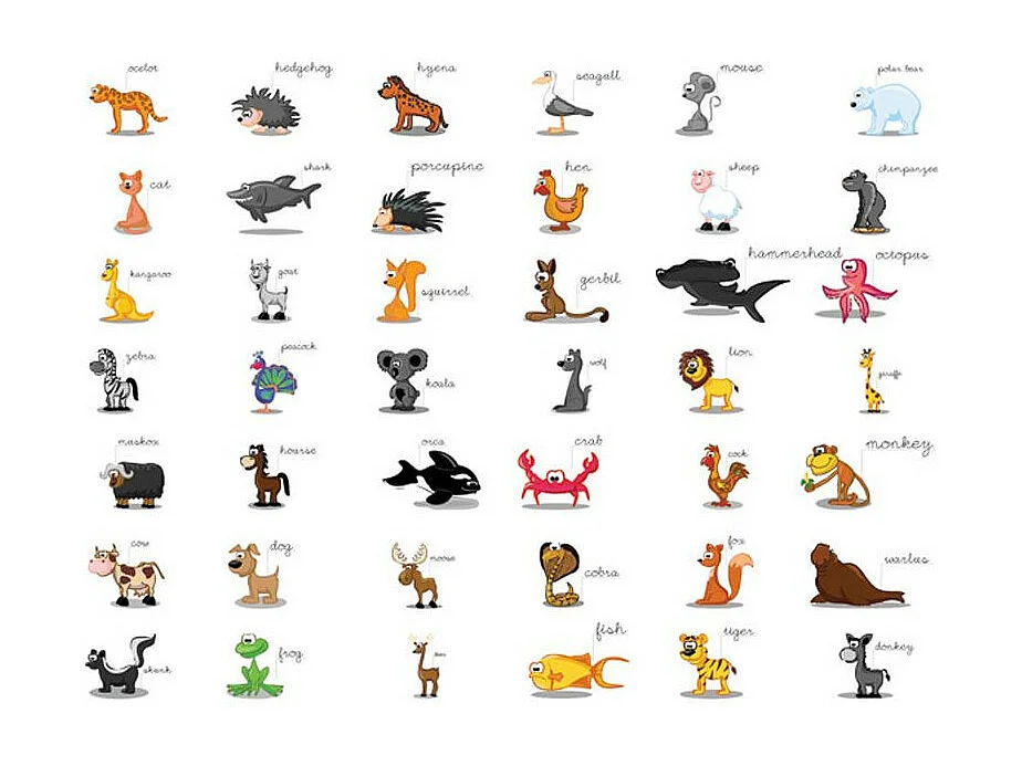 Papier Peint "Learning By Playing Animals" 270 x 350 cm