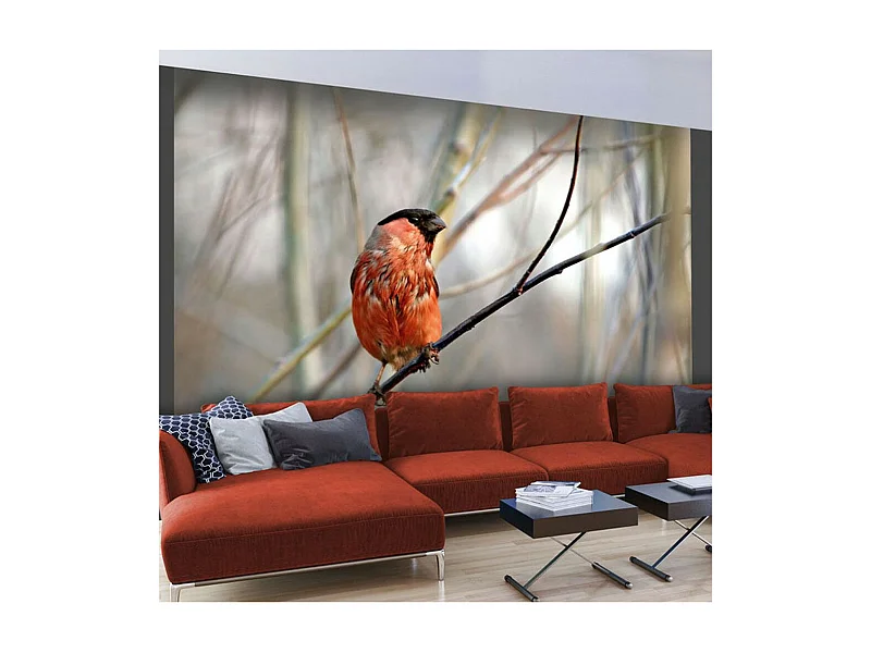 Papier Peint "Bullfinch in the Forest" 193 x 250 cm