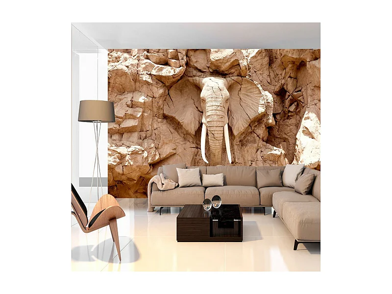 Papier Peint "Stone Elephant South Africa" 70 x 100 cm