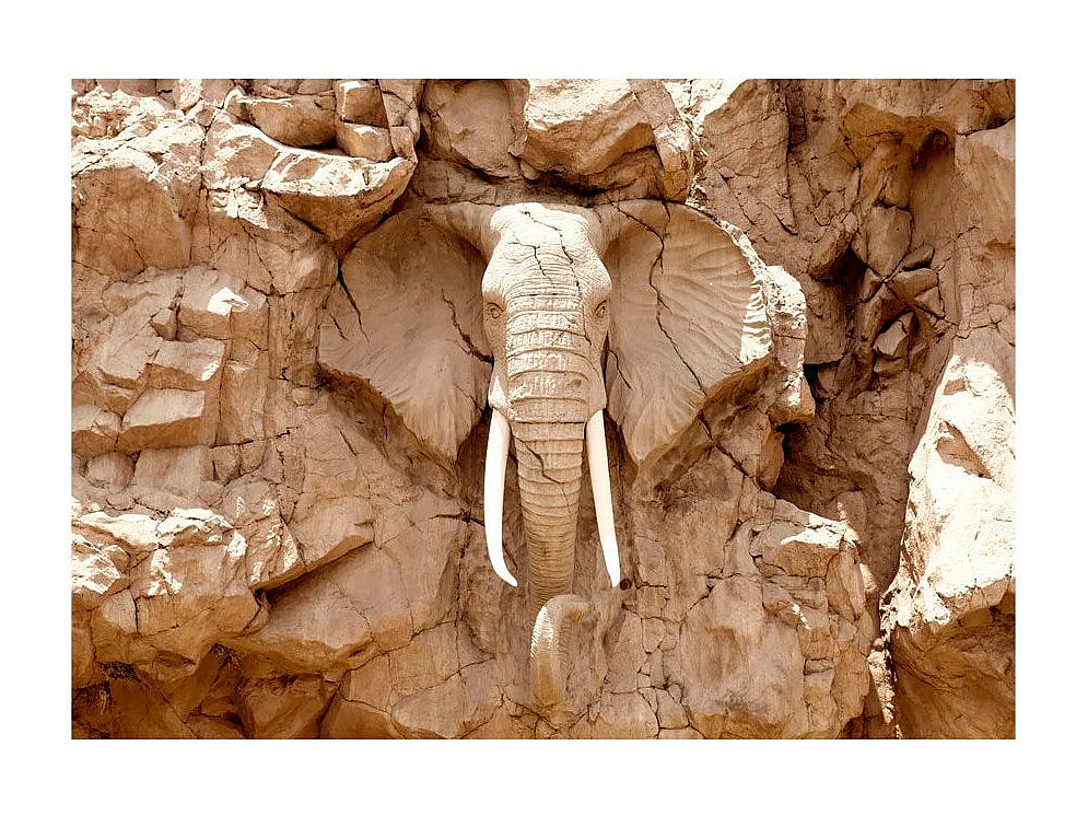 Papier Peint "Stone Elephant South Africa" 70 x 100 cm