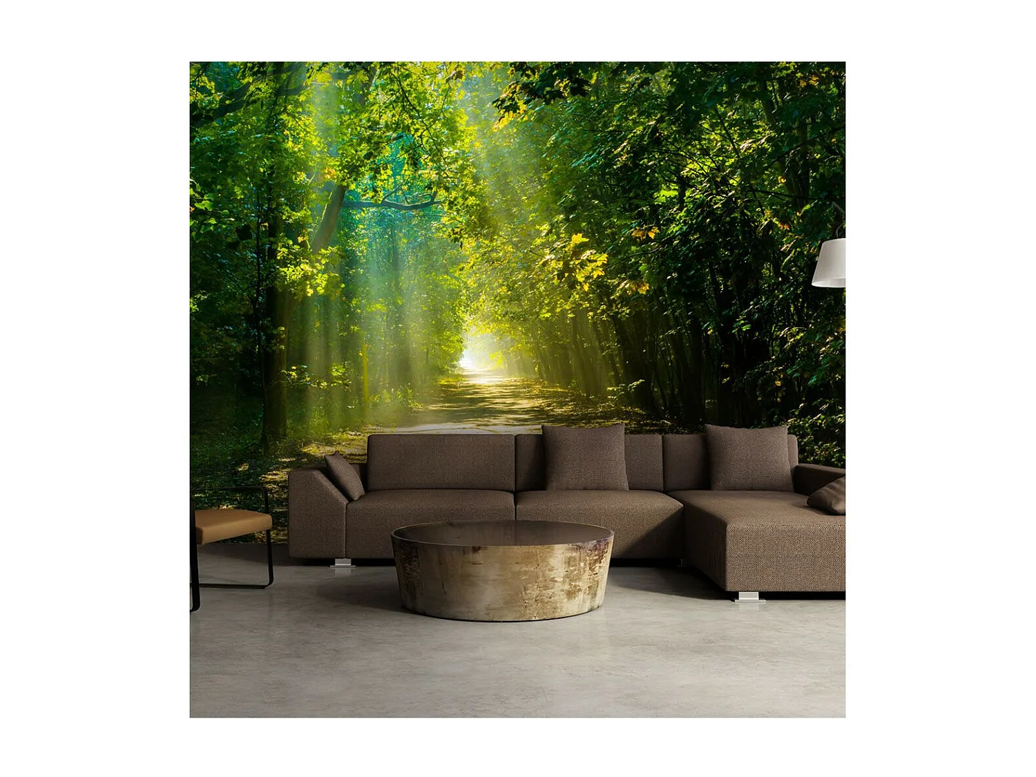 Papier Peint "Road in Sunlight" 175 x 250 cm