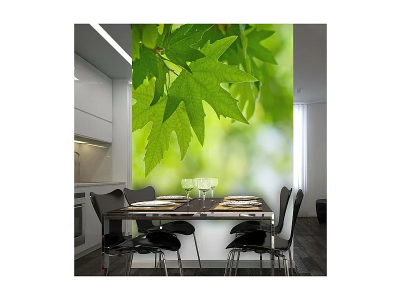 Papier Peint "Feuilles Shallow Focus" 231 x 300 cm