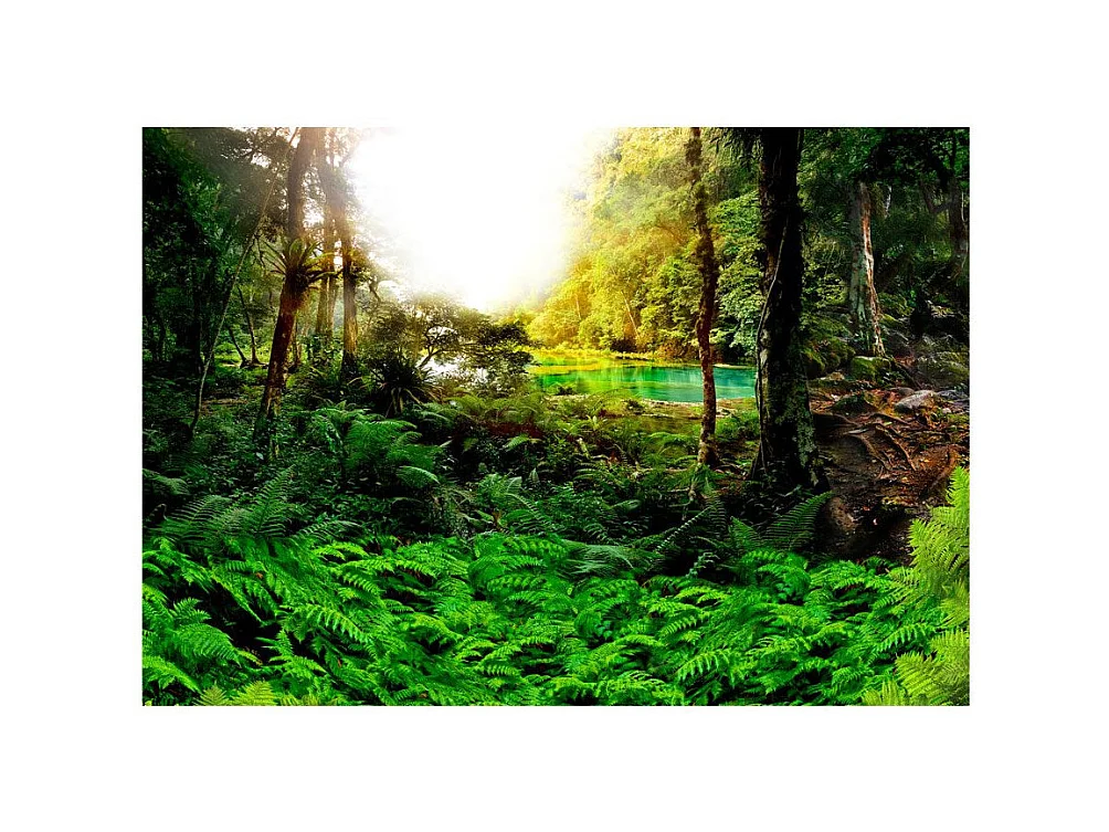 Papier Peint "In Tropics" 245 x 350 cm