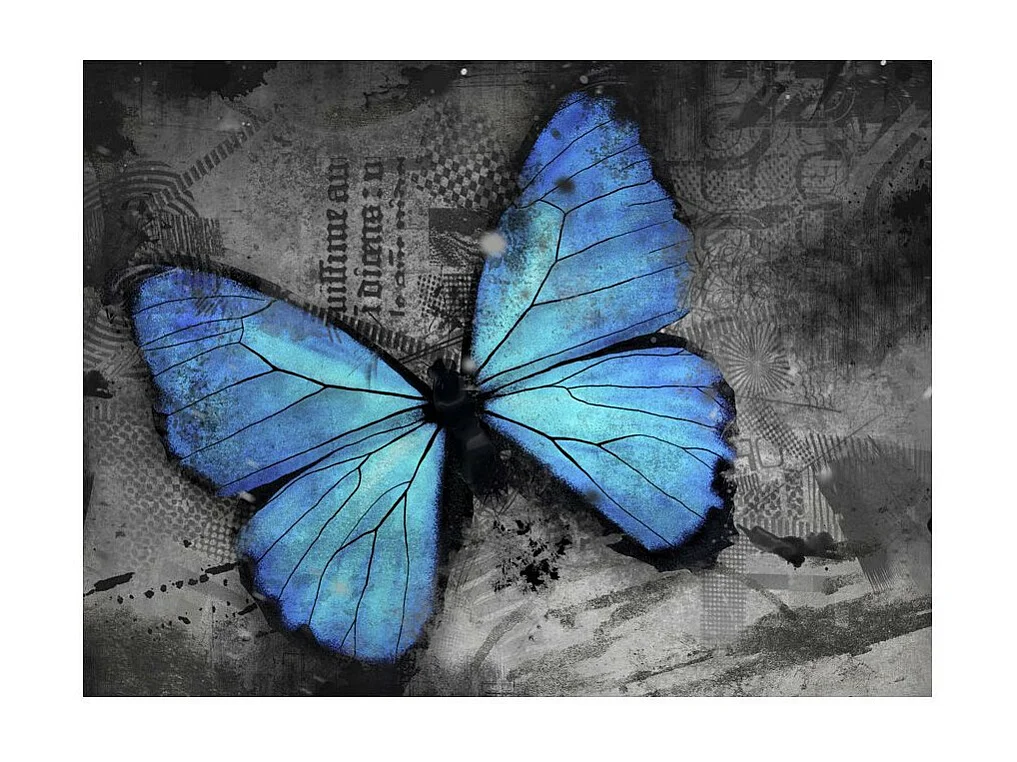 Papier Peint "Alated" 270 x 350 cm