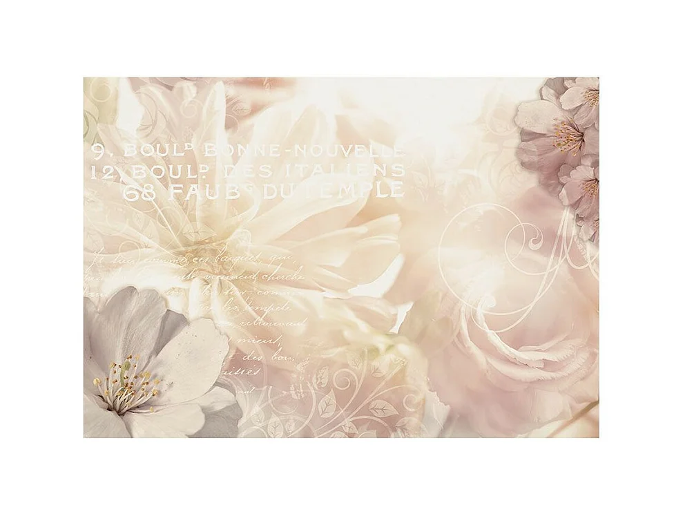 Papier Peint "Kiss of Gentleness" 245 x 350 cm