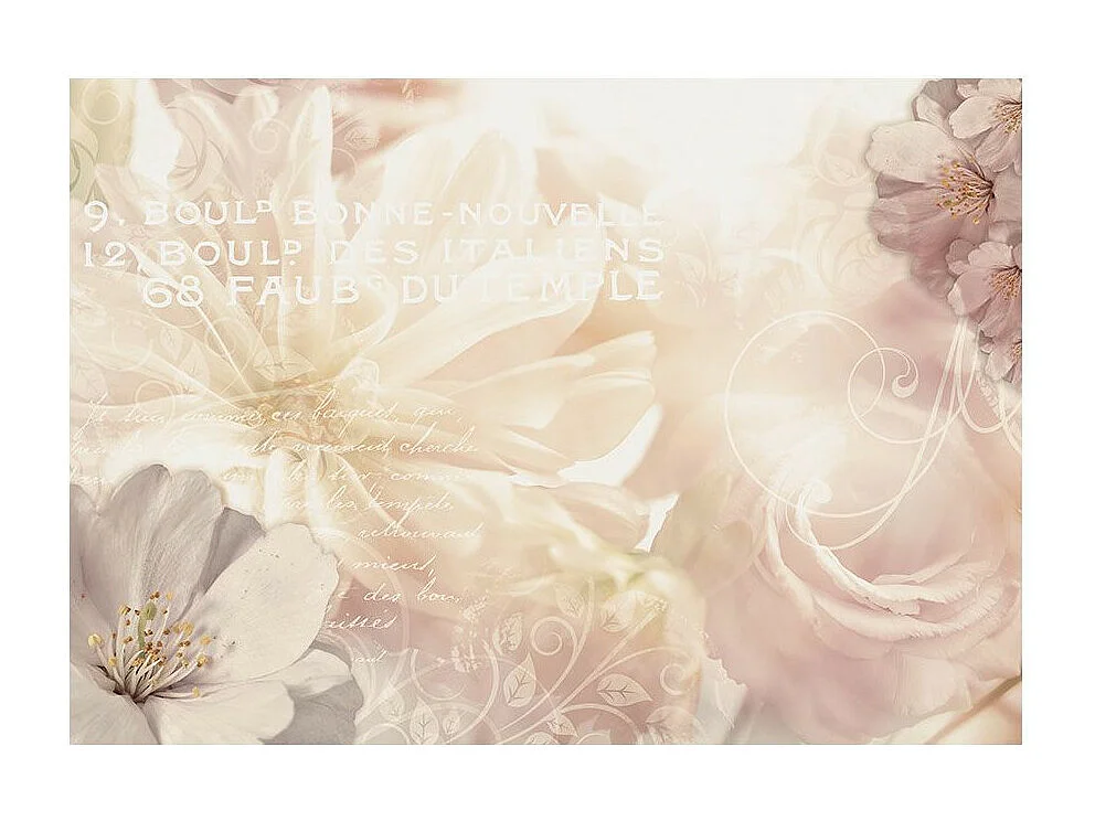 Papier Peint "Kiss of Gentleness" 245 x 350 cm