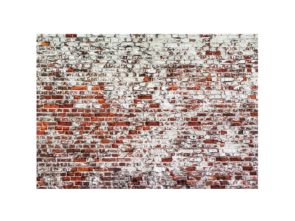Papier Peint "Her Highness the Brick" 105 x 150 cm