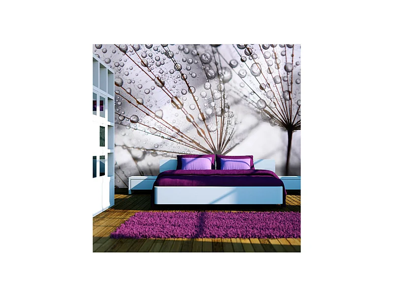 Papier Peint "Pissenlit & Rosée du Matin" 193 x 250 cm