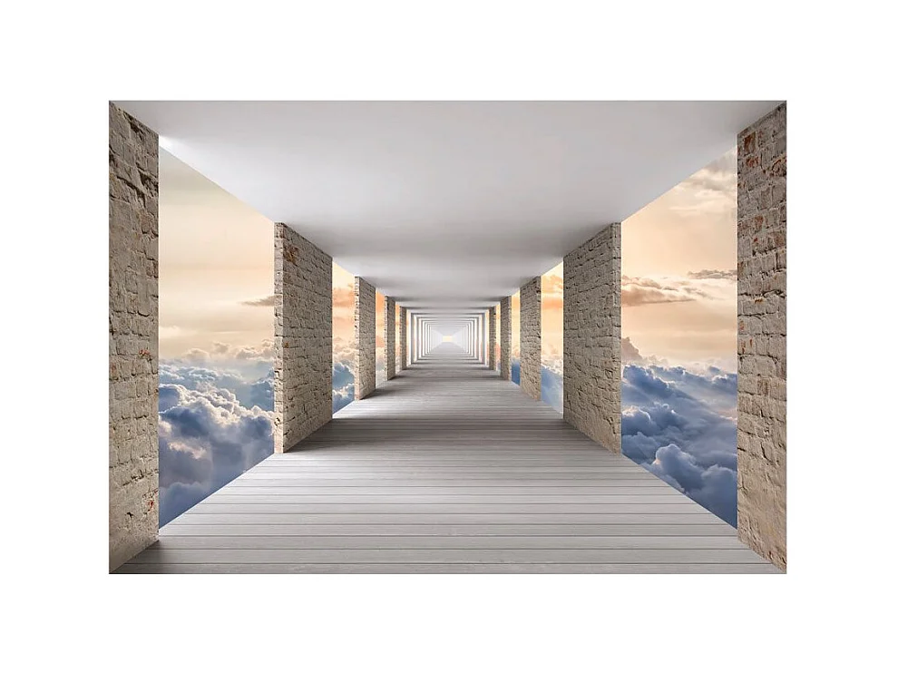 Papier Peint "Skyward Travel" 245 x 350 cm