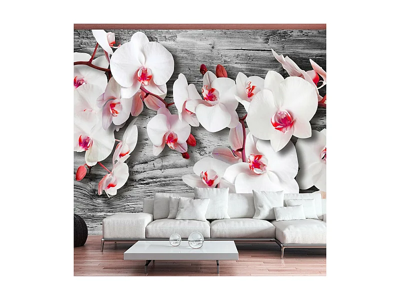 Papier Peint "Callous Orchids" 210 x 300 cm