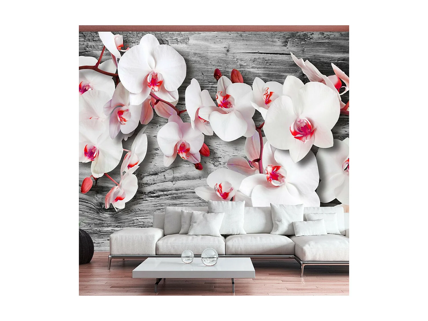 Papier Peint "Callous Orchids" 210 x 300 cm