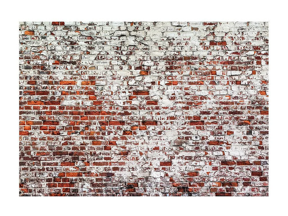 Papier Peint "Her Highness the Brick" 210 x 300 cm